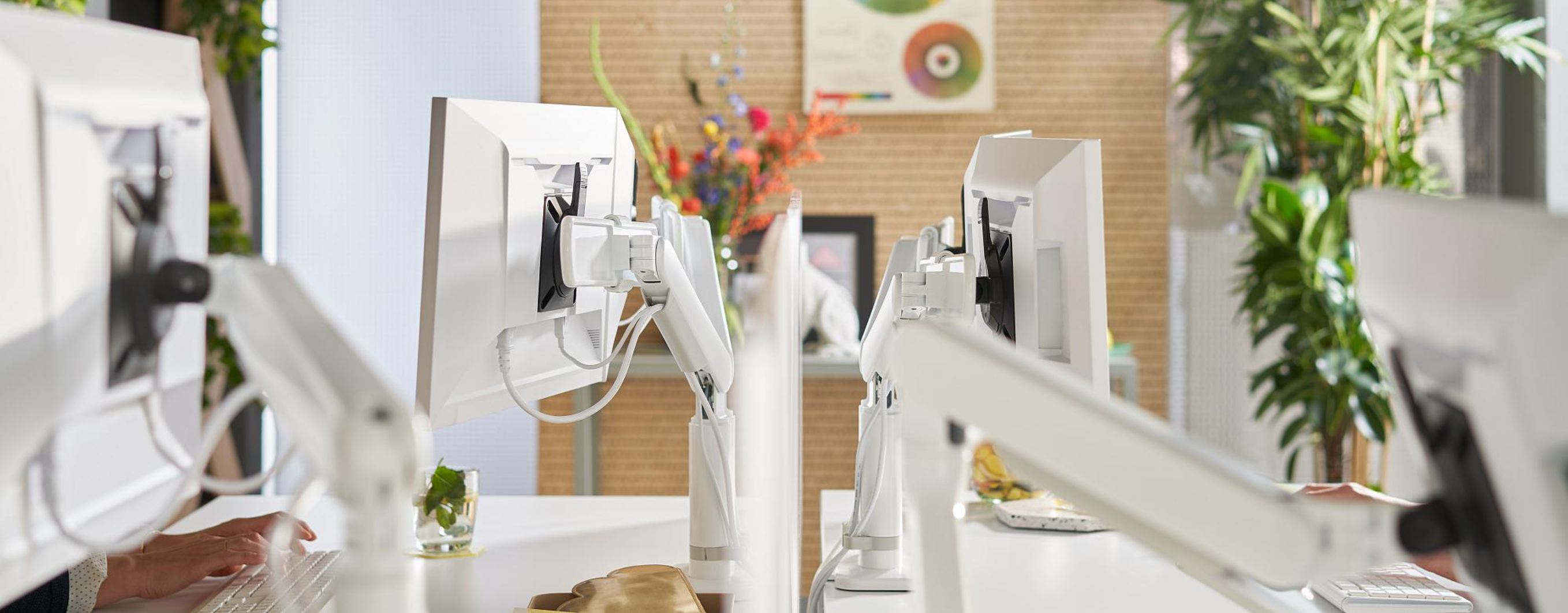 Dataflex Monitorarme