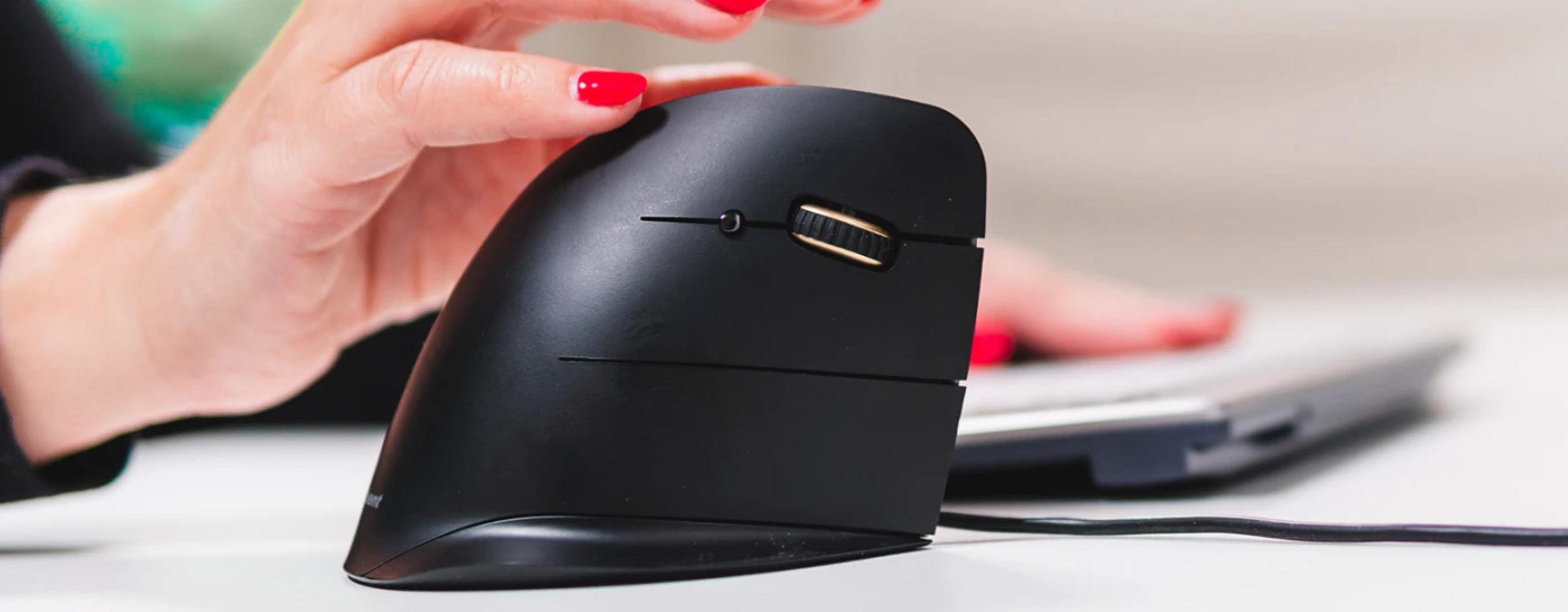 PC-Maus / Notebook-Maus