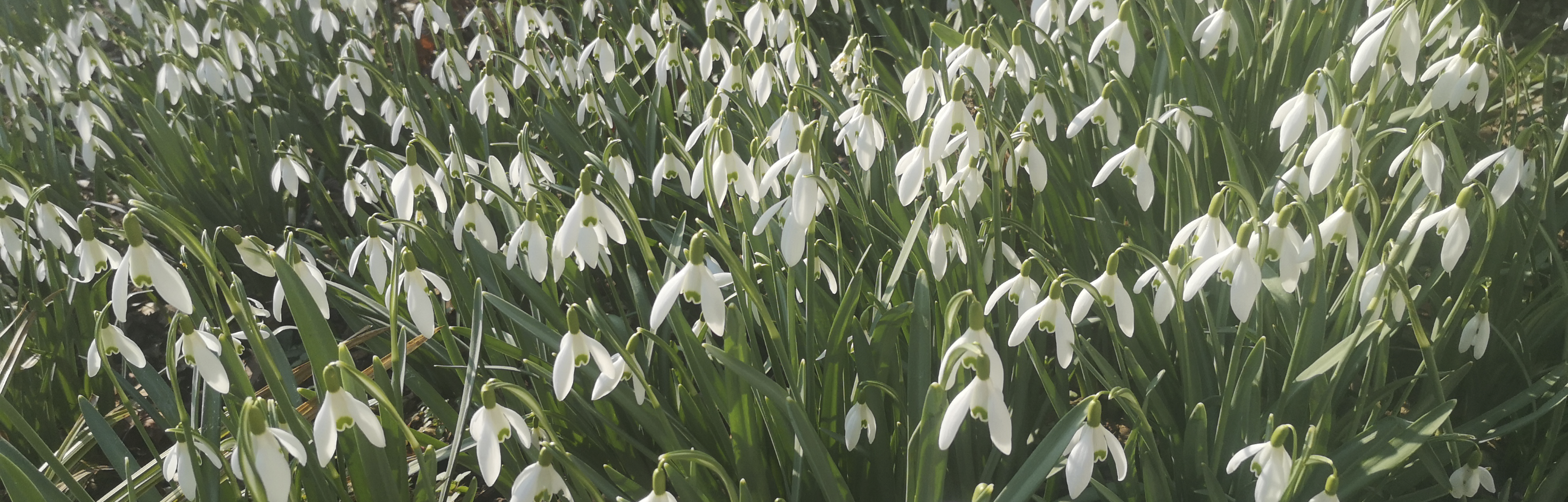 Sale 2026 - Ihr Stuhl für mehr Wohlbefinden! </br> Versand in 1-2 Tagen