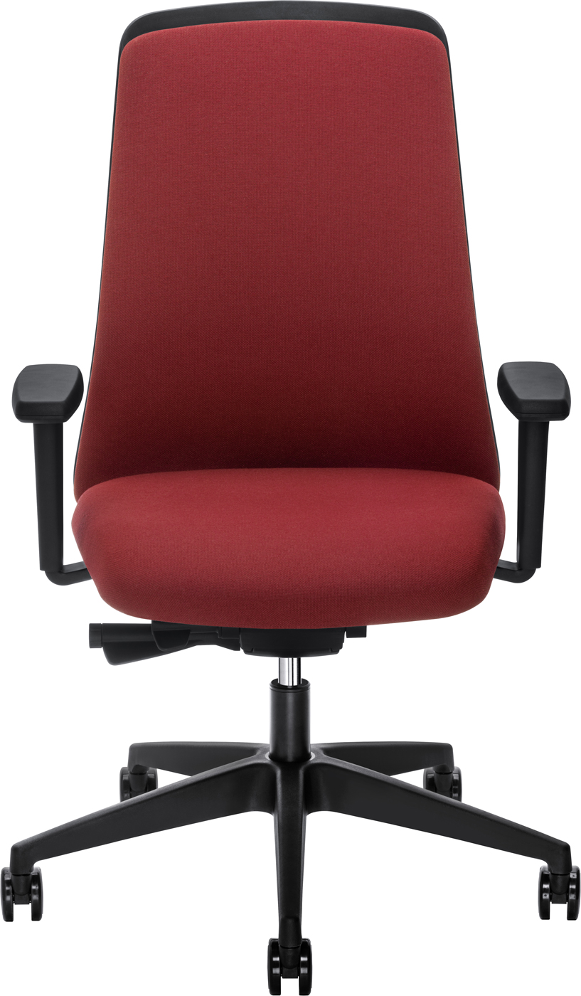 Interstuhl EVERYis1 Chillback